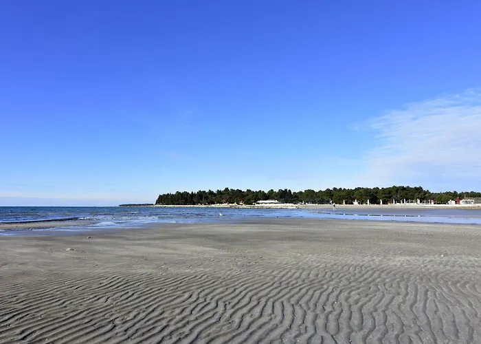 Apartman Albina 5 By Interhome Umag