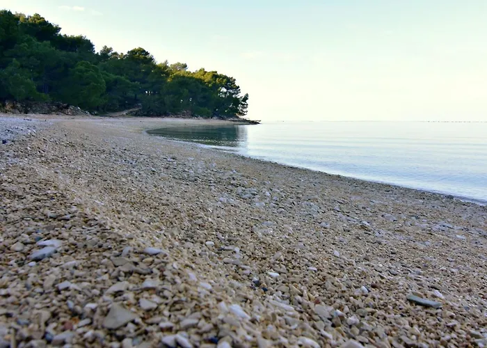 Albina 5 By Interhome Apartment